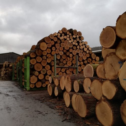 Chêne scierie grume cbbh
