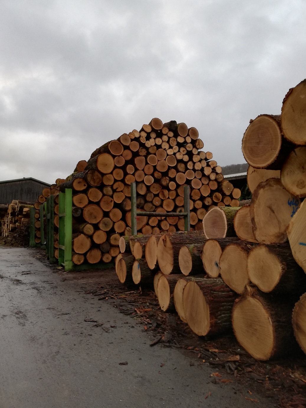 Chêne scierie grume cbbh