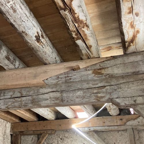 People choosing beetween different type of wood for a charpente work, photo, ultra realistic