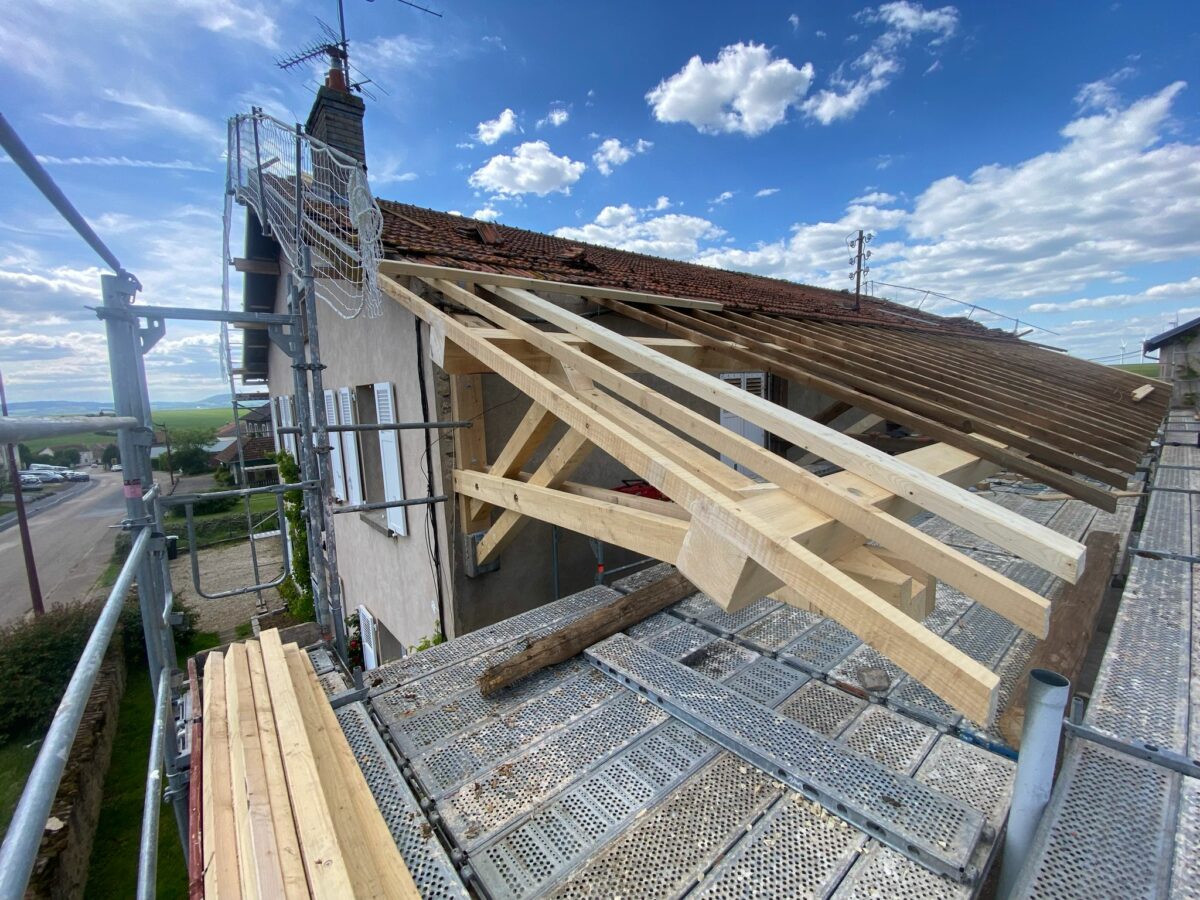 Photo 2025 05 06 16 36 12 (2)