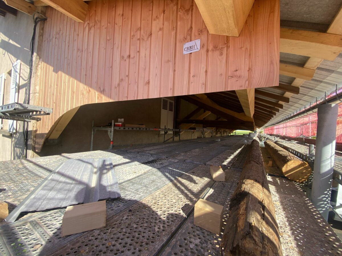 Photo 2025 05 16 09 44 06