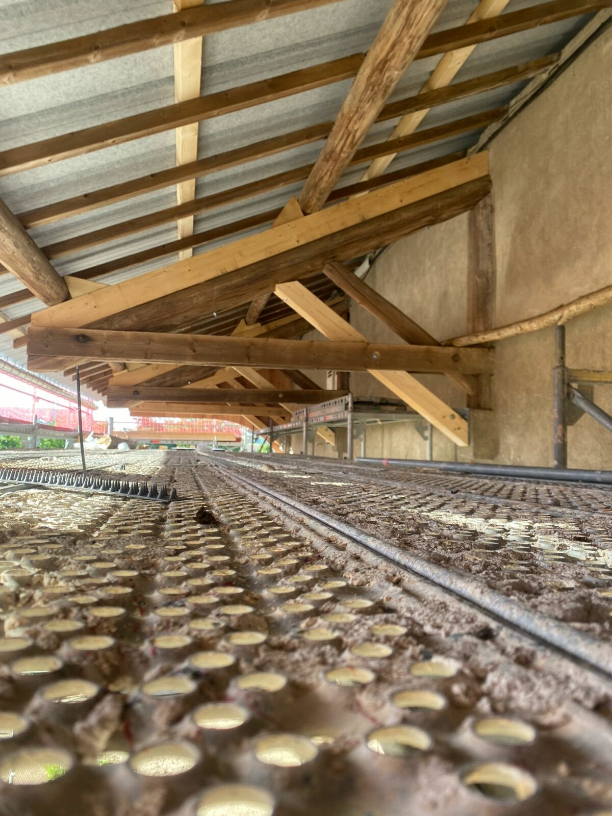 Photo 2025 05 16 09 44 14[2]